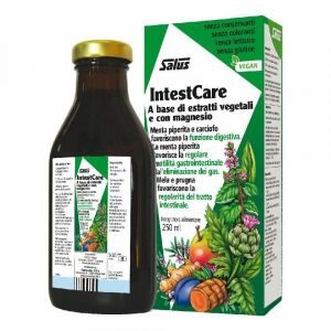 Salus IntestCare Liquid Supplement 250 ml
