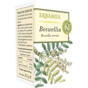 Erbamea Boswellia 50 Capsule