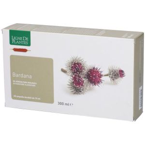 Organic Burdock 20 Drinkable Ampoules Of 15ml