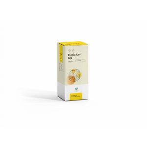 Hericium Up Digestive Supplement 90 Capsules