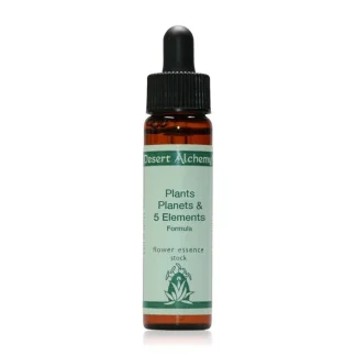 1st House-7th House Formula Composta Desert Alchemy Flower Essences 10ml
