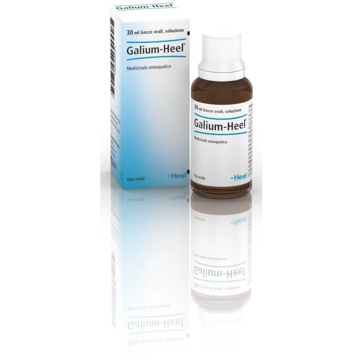 Galium-Heel Gocce 30ml