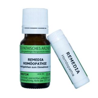 Testudo Hermanni Calcarea