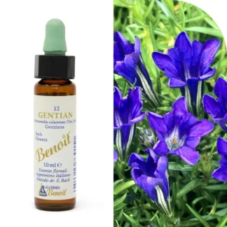 Fiori Di Bach 12 GENTIAN BENOIT® 10ml