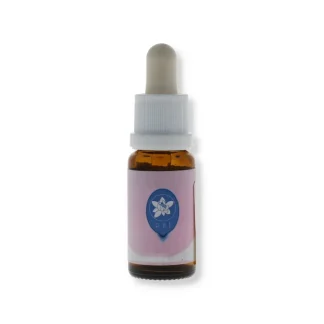 Blueberry Essenze Korte Natur 15ml