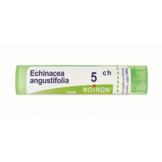 Echinacea Angustifolia 5CH Boiron 80 Granuli