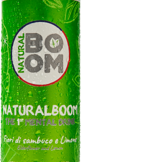 Напиток NaturalBoom Mental Drink с бузиной и лимоном, 250 мл