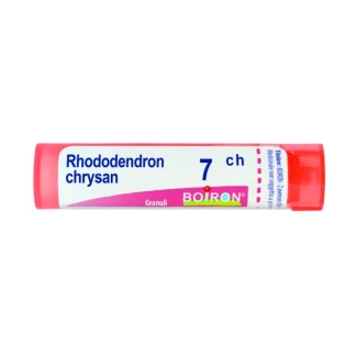 Rhododendron Chrysan 7CH Boiron 80 Granuli