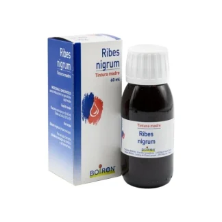 Ribes Nigrum TM Boiron 60ml