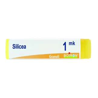Silicea MK Boiron Granuli 4g
