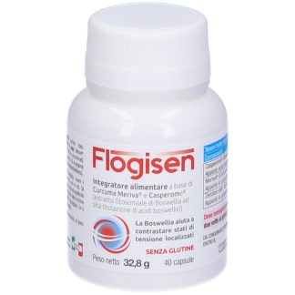 AVD Flogisen