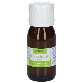 BOIRON® Betula Pubescens Gemme
