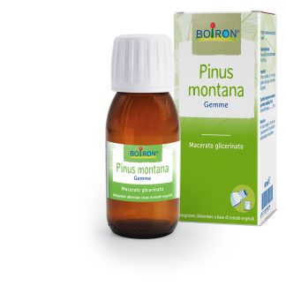 BOIRON® Pinus montana Gemme